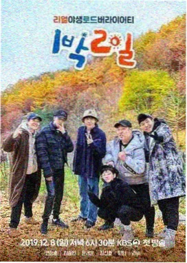 影视资讯 免费观看电视剧全集在线播放高清 用户增长